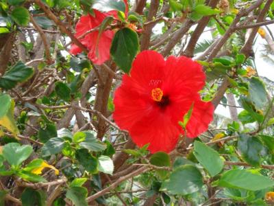 �}�E�C�E�g���s�J���E�v�����e�[�V����5