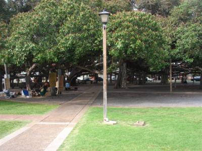 �o�j�����c���[3