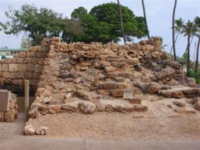 �o�j�����c���[5