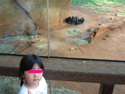 �z�m����������6