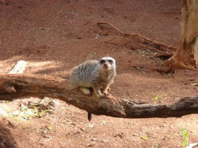 �z�m����������7